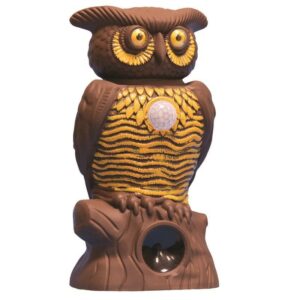 Owl Alert Electronic Pest Repeller For Outdoor Pests - Image 2